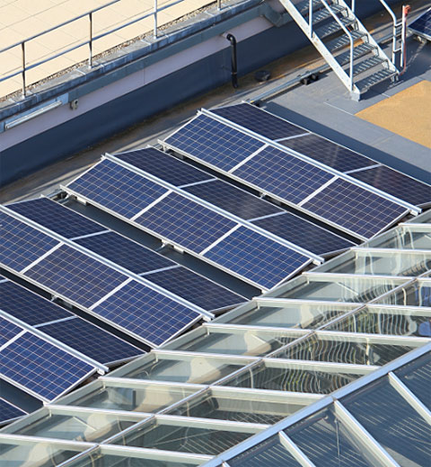NHS Solar Panels